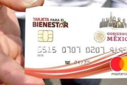 ayudas gubernamentales