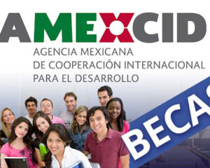 Becas Amexcid